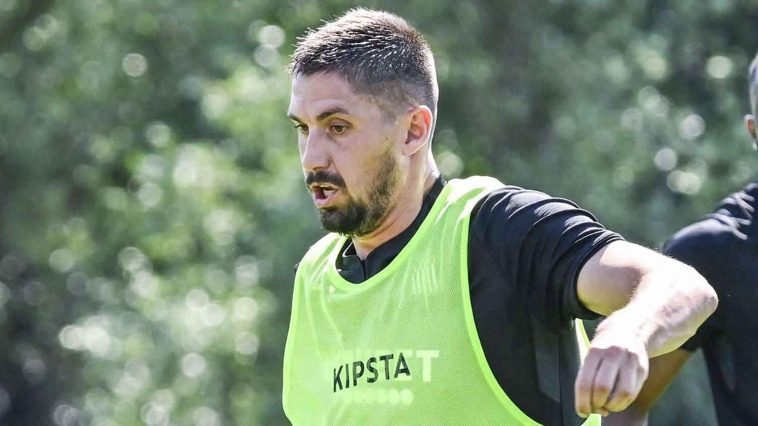 球迷们带来 球迷们带来