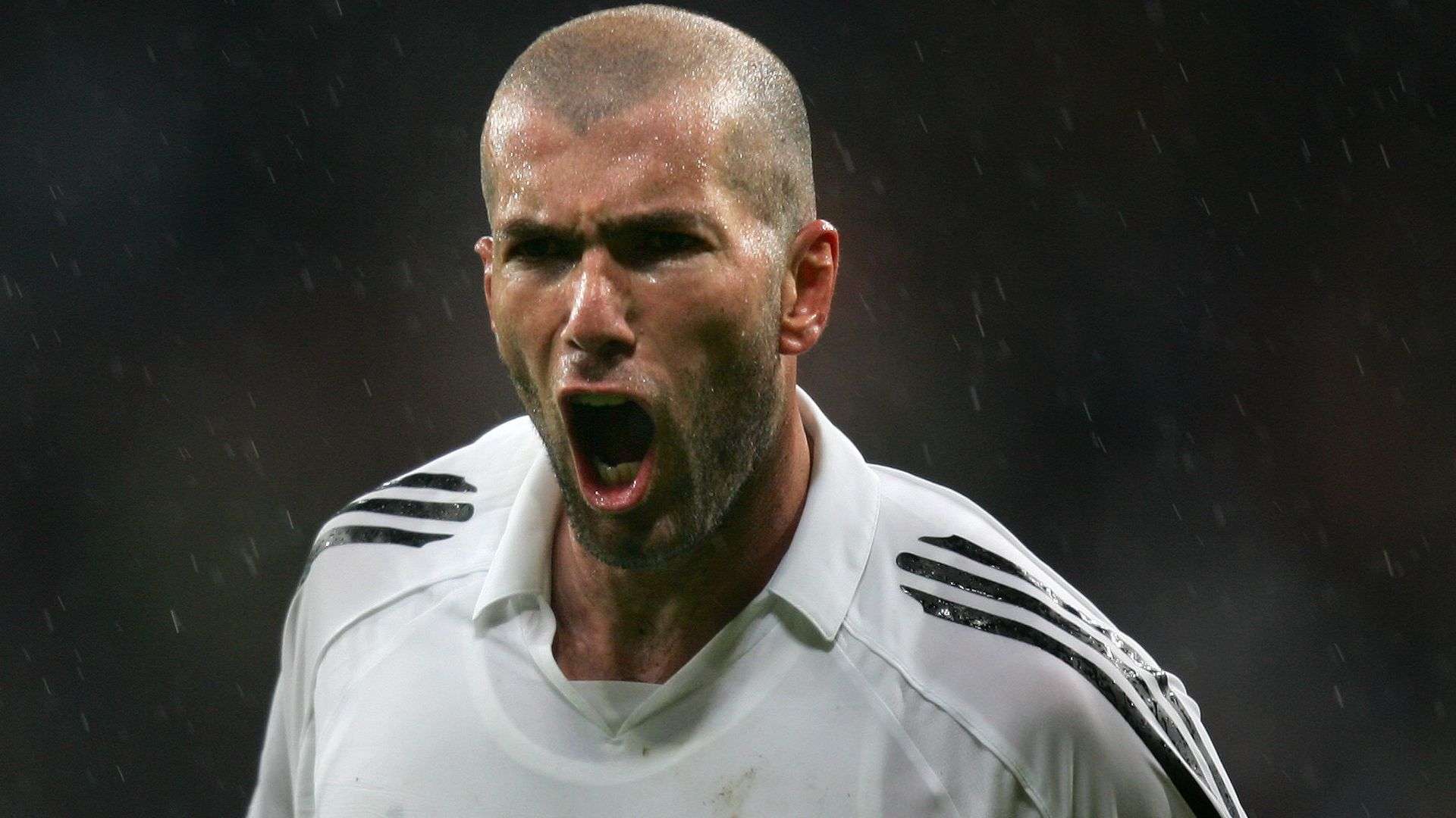 的舞台上 的舞台上